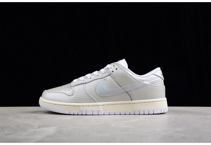 nike sb dunk low dx3197-095