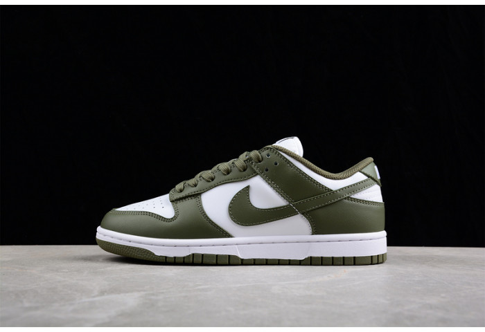 nike dunk low dd1503-120