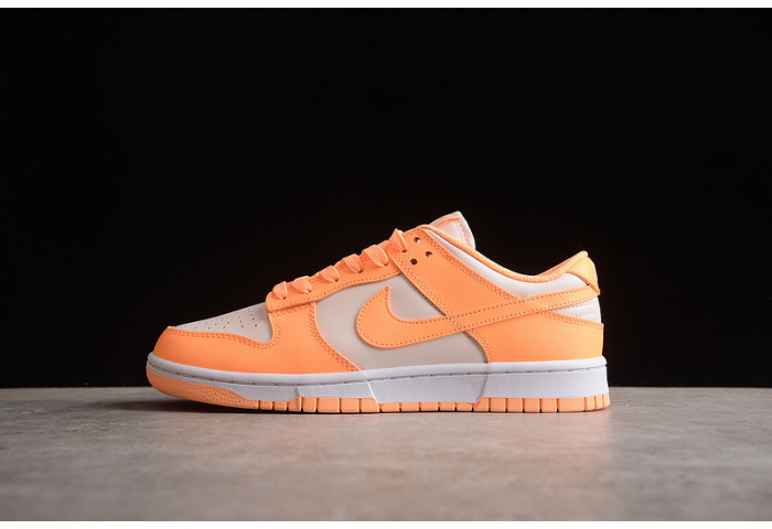 nike sb dunk low dd1503-801