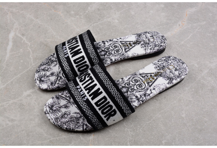 D*or slides ds-001