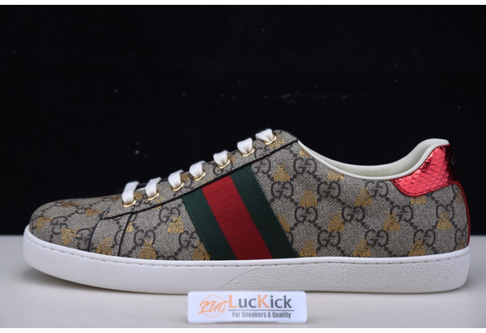 gc sneaker