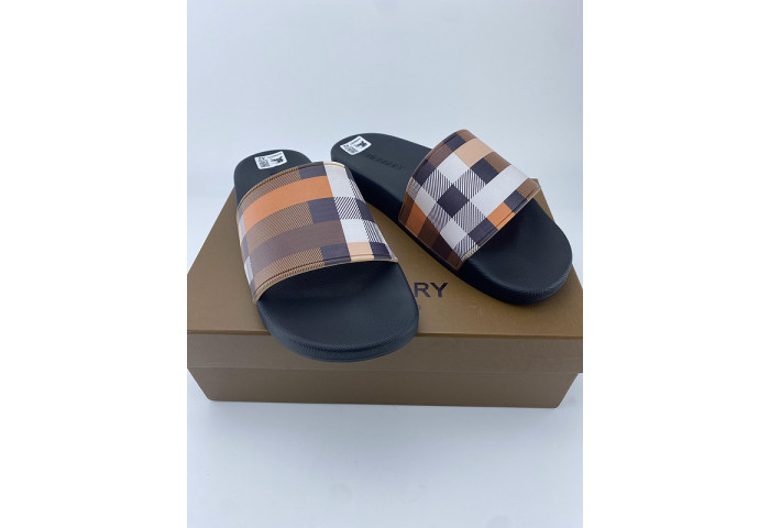 bur slide  burl-001