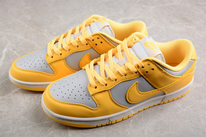 nike sb dunk low dd1503-002