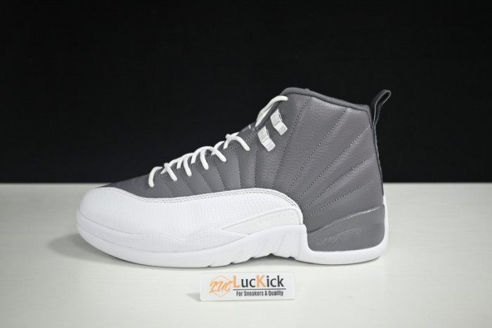 air jordan 12 stealth ct8025-610