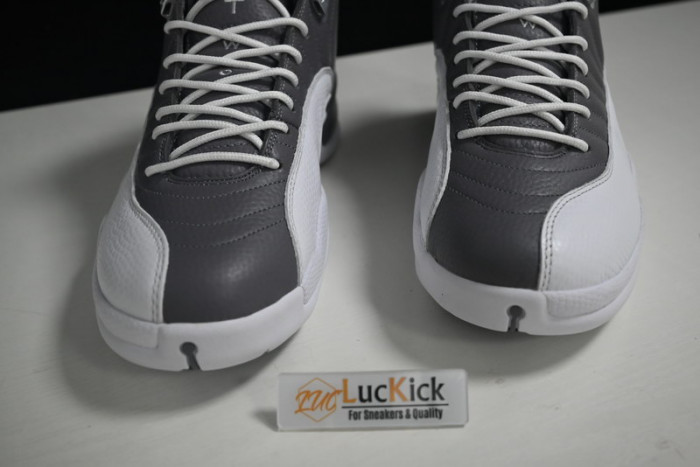 air jordan 12 stealth ct8025-610