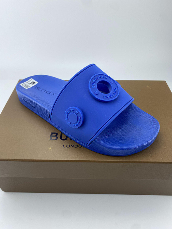 bur slide  burl-006