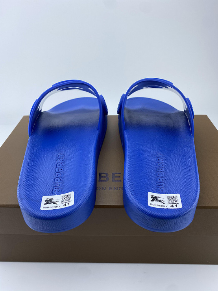 bur slide  burl-006