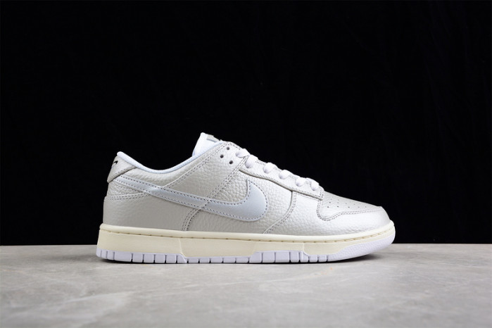 nike sb dunk low dx3197-095