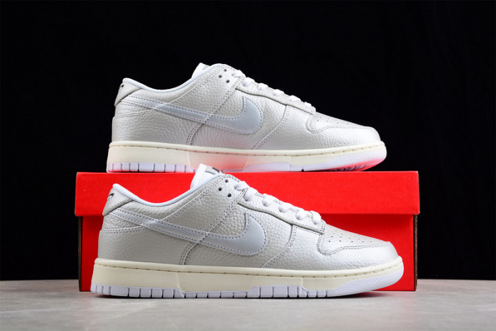 nike sb dunk low dx3197-095