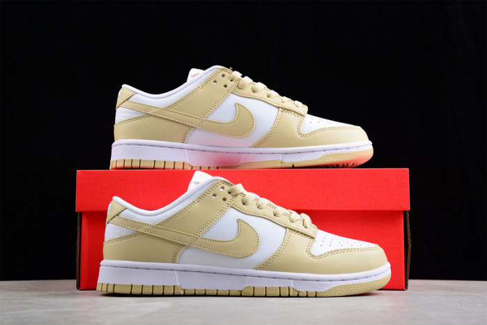 nike dunk low dv0833-100
