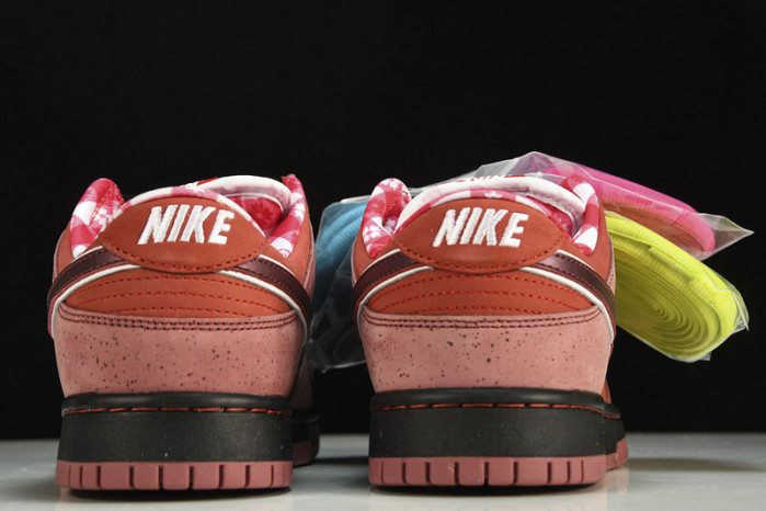 nike sb dunk low red lobster 313170-661