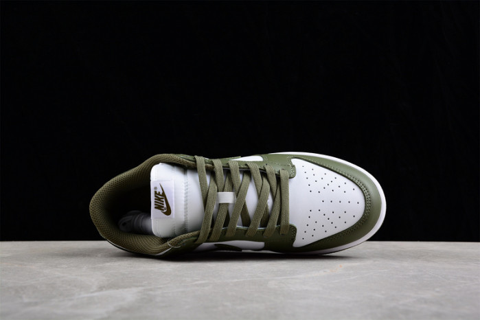 nike dunk low dd1503-120