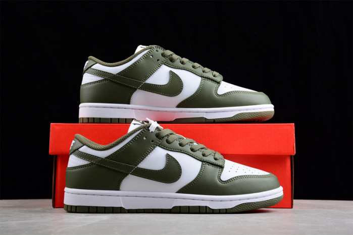 nike sb dunk low dd1503--120