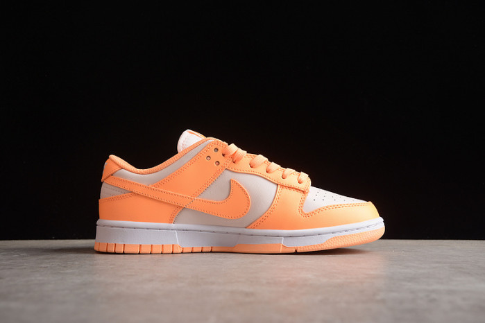 nike sb dunk low dd1503-801