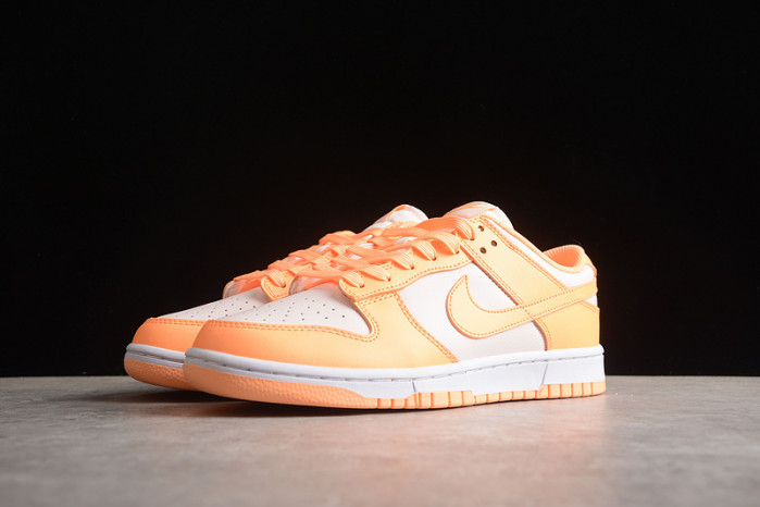 nike sb dunk low dd1503-801