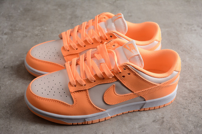 nike sb dunk low dd1503-801