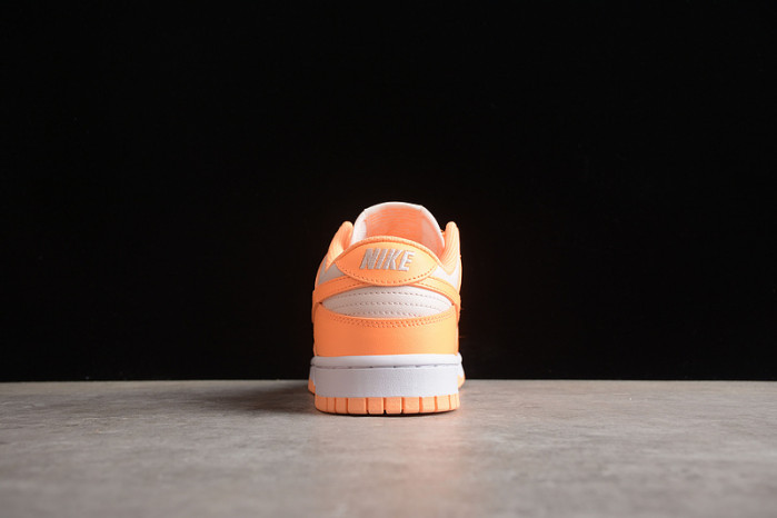 nike sb dunk low dd1503-801