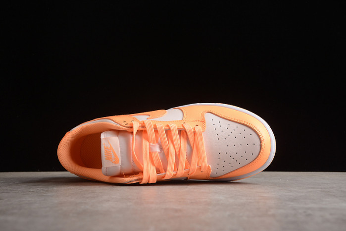 nike sb dunk low dd1503-801