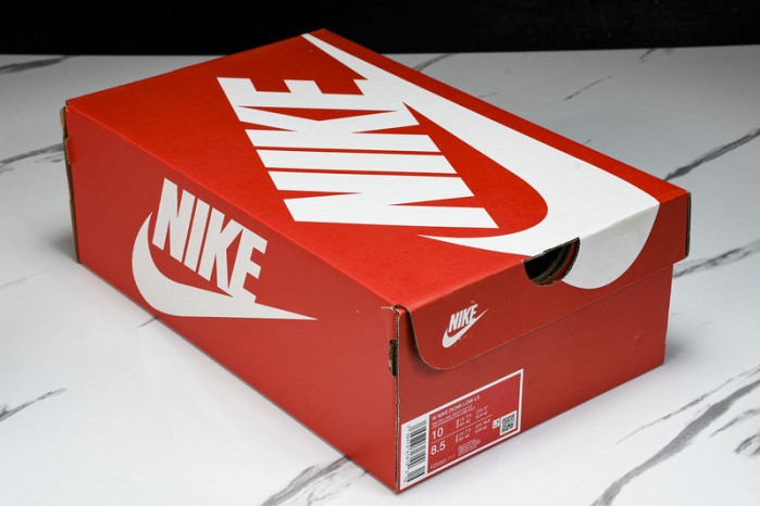 nike dunk low fz3779-025