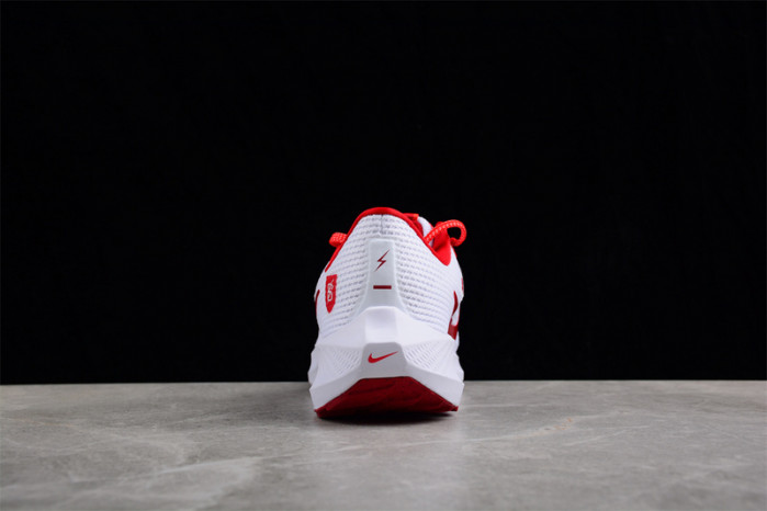 nike zoom fj2844-100