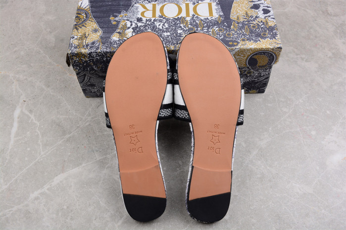 D*or  slides  ds-001