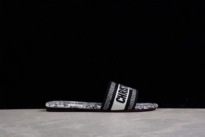 D*or slides ds-001