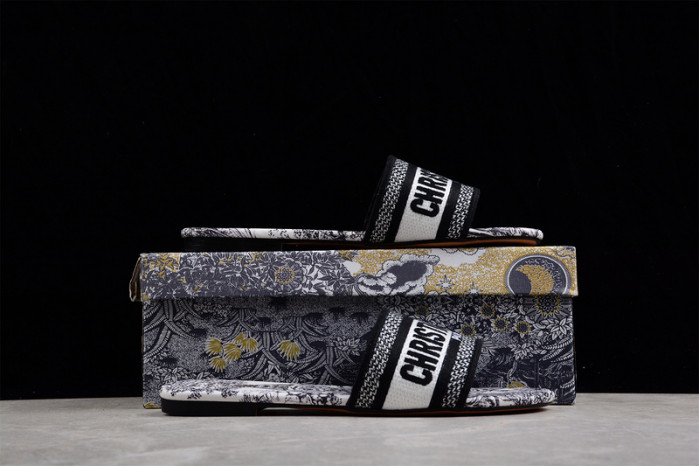 D*or slides ds-001