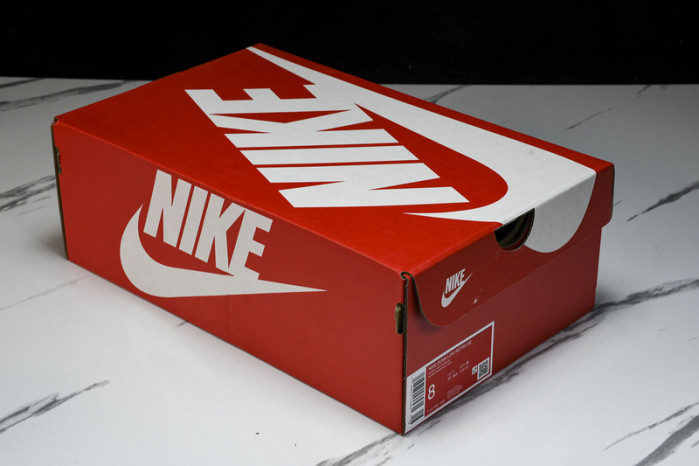 nike dunk low fj4188-100