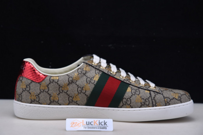 gc sneaker
