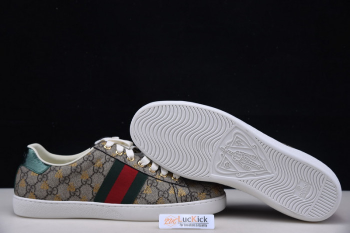 gc sneaker