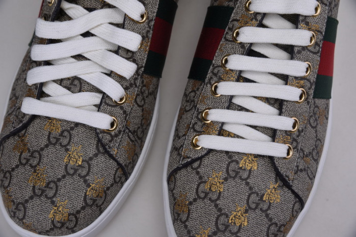 gc sneaker