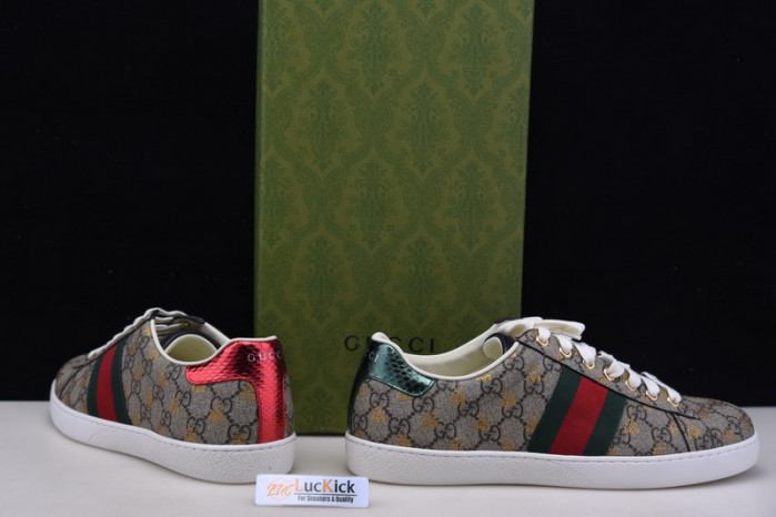 gc sneaker