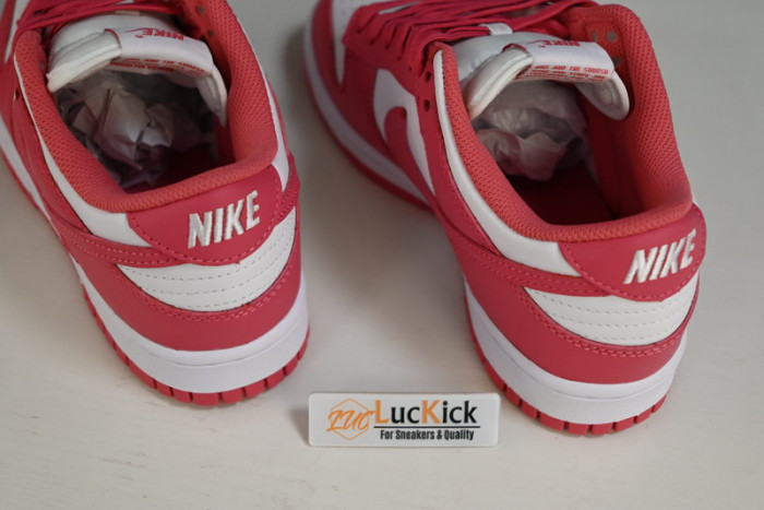 nk dunk low“raspberry red” dd1503-111