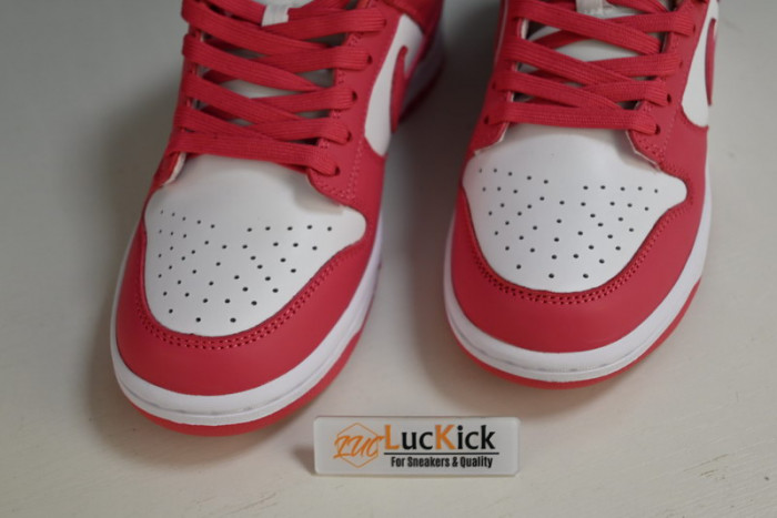 nk dunk low“raspberry red” dd1503-111