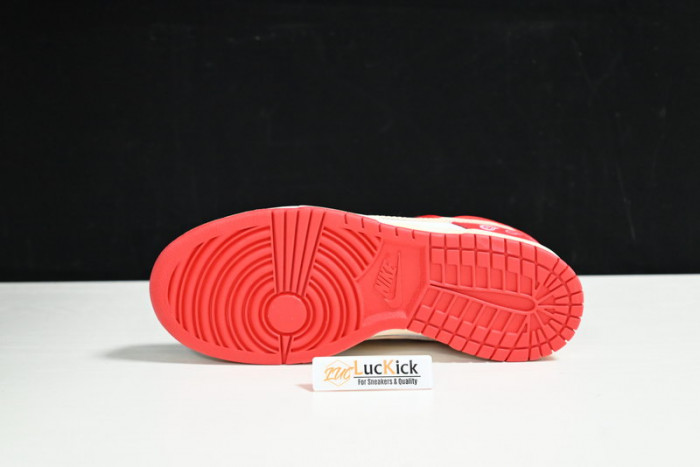 nk dunk sb low dd1391-600