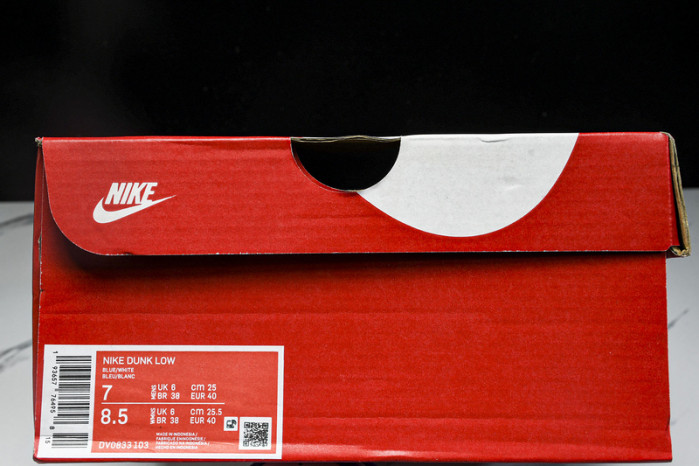 nike dunk low dv0833-103