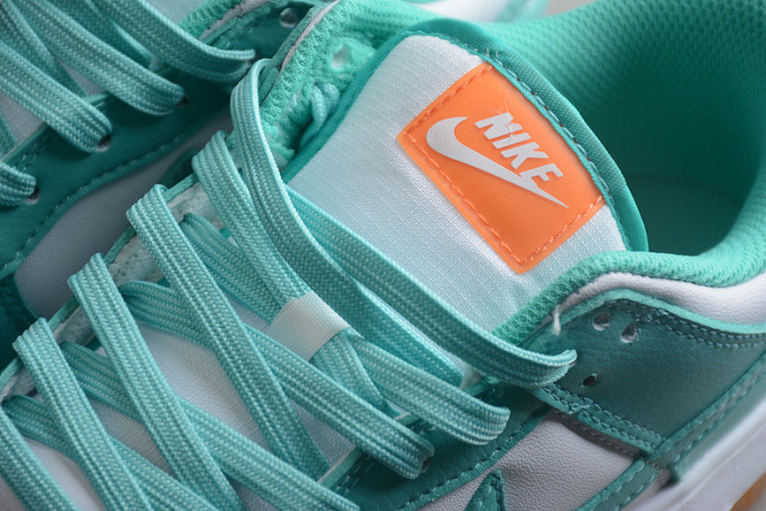 nk dunk sb low 2190-100