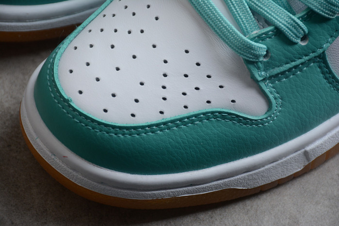 nk dunk sb low 2190-100