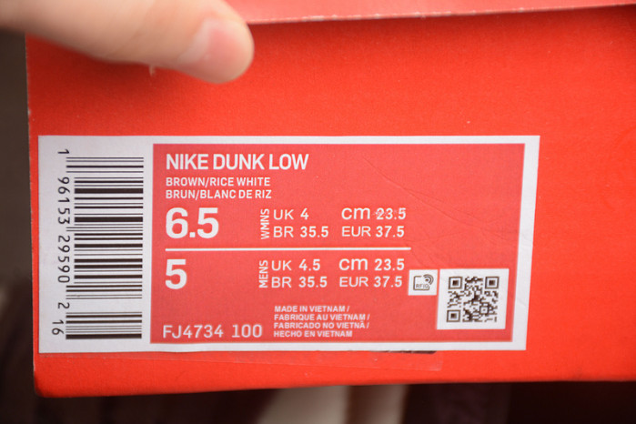 nike sb dunk low fj4734-100