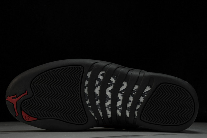 air jordan 12 ct8013-162