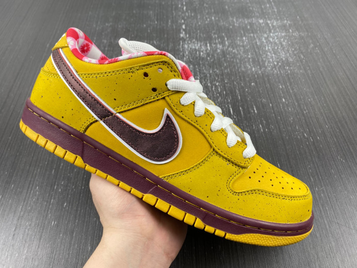 dunk low premium sb