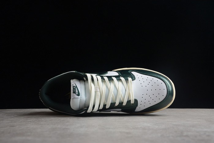nike dunk sb low pro dq8580-100