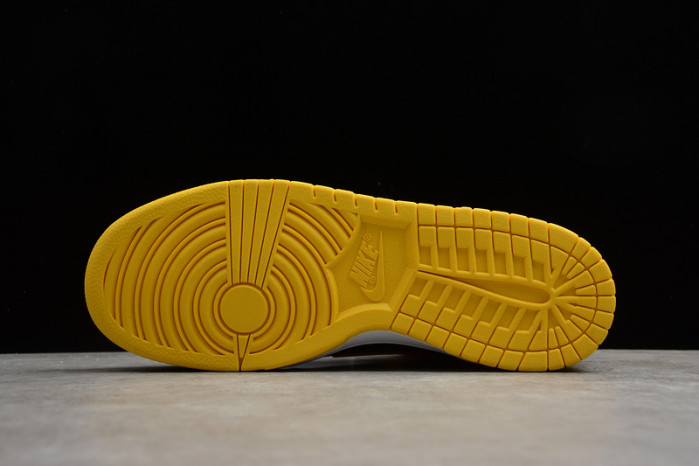 nike dunk low cz8149-002