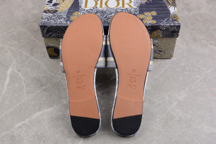 D*or slides ds-004