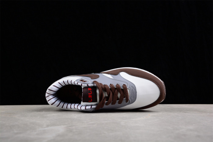 nike air max 1 fb8916-100