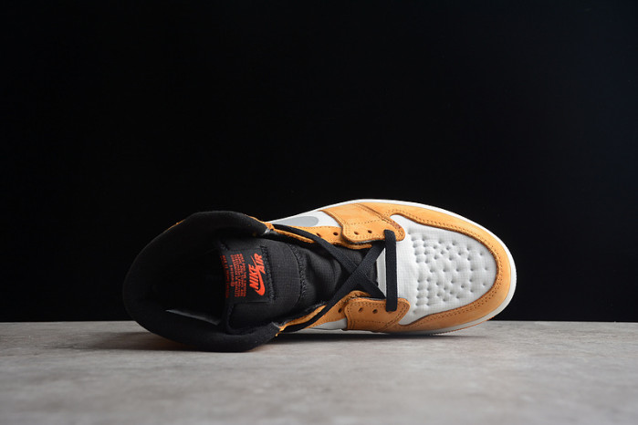 airjordan1element gore- tex"light curry" db2889-700