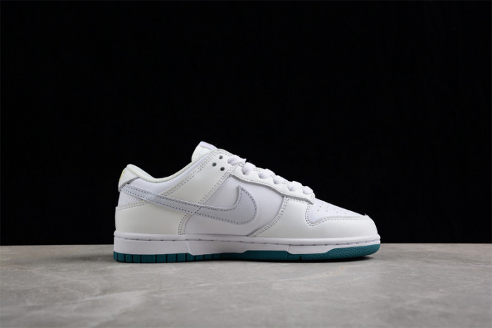 nike sb dunk low fd9911-101