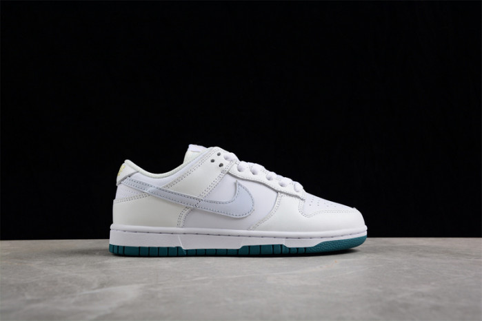 nike sb dunk low fd9911-101