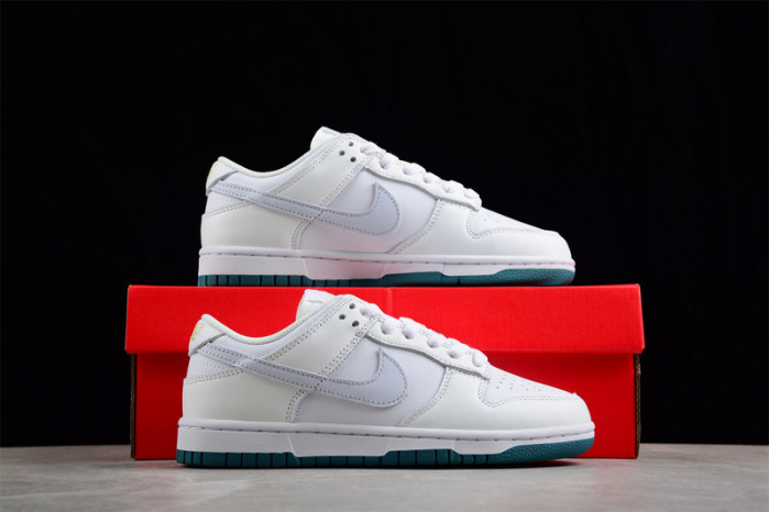 nike sb dunk low fd9911-101