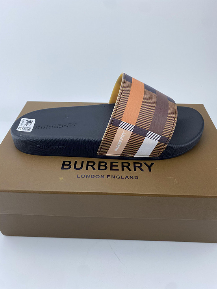 bur slide  burl-001